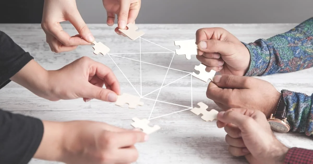 Establish Collaborations